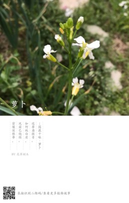 QQ图片20220317103032.jpg
