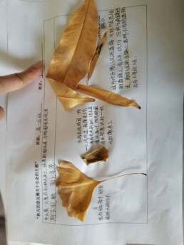 微信图片_20241218104911.jpg