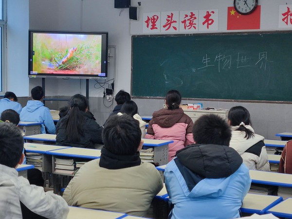 QQ图片20241220104823.jpg