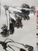 QQ图片20250320104841.jpg